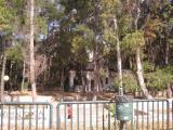 eIMG_2080.JPG